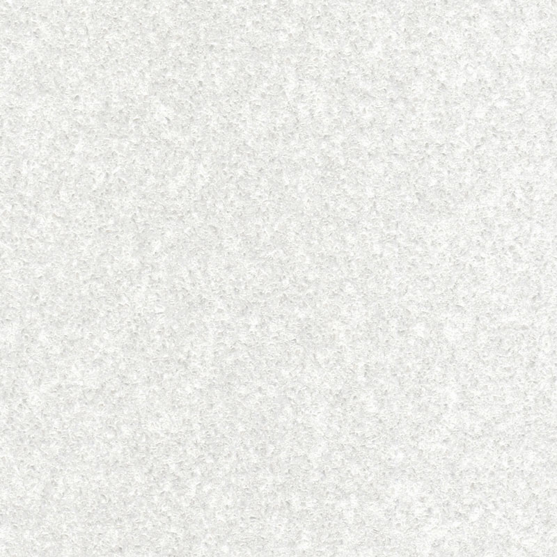 Click the image below to view a detail of the shell color