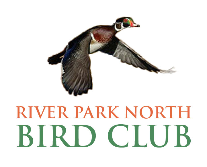 River Park North Bird Club