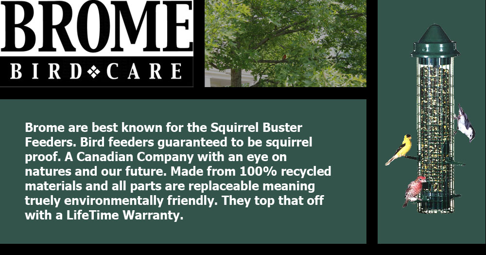 Brome are best known for the Squirrel Buster Feeders. Bird feeders guaranteed to be squirrel proof. A Canadian Company with an eye on natures and our future. Made from 100% recycled materials and all parts are replaceable meaning truely environmentally friendly. They top that off with a LifeTime Warranty. Could you imagine or expect more for your money?
