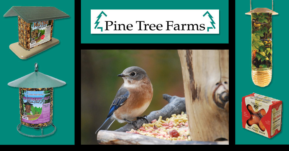 Pine Tree Farms, Wildlife Science, St. Alban's Bay Bird food, suet, seed cakes