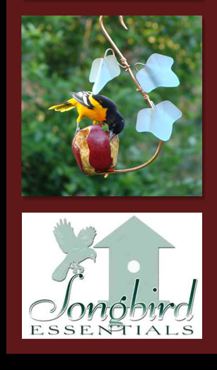 Songbird Essentials Fruit Feeders