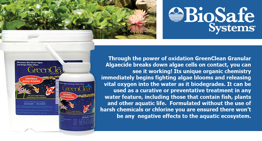 Through the power of oxidation GreenClean Granular Algaecide breaks down algae cells on contact, you can see it working! Its unique organic chemistry immediately begins fighting algae blooms and releasing vital oxygen into the water as it biodegrades. It can be used as a curative or preventative treatment in any water feature, including those that contain fish, plants and other aquatic life.  Formulated without the use of harsh chemicals or chlorine you are ensured there won’t be any  negative effects to the aquatic ecosystem.